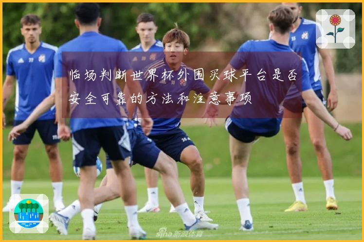 临场判断世界杯外围买球平台是否安全可靠的方法和注意事项